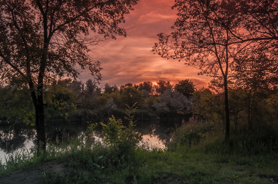 Фото жизнь
