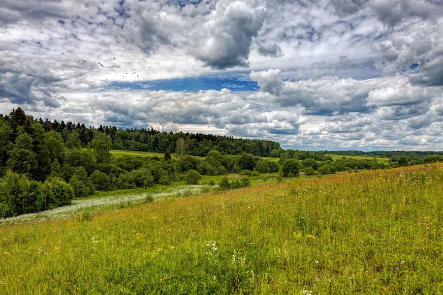 Фото жизнь