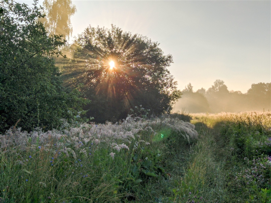 Фото жизнь