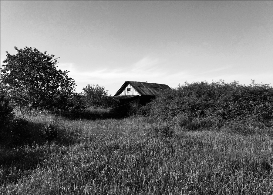 Фото жизнь