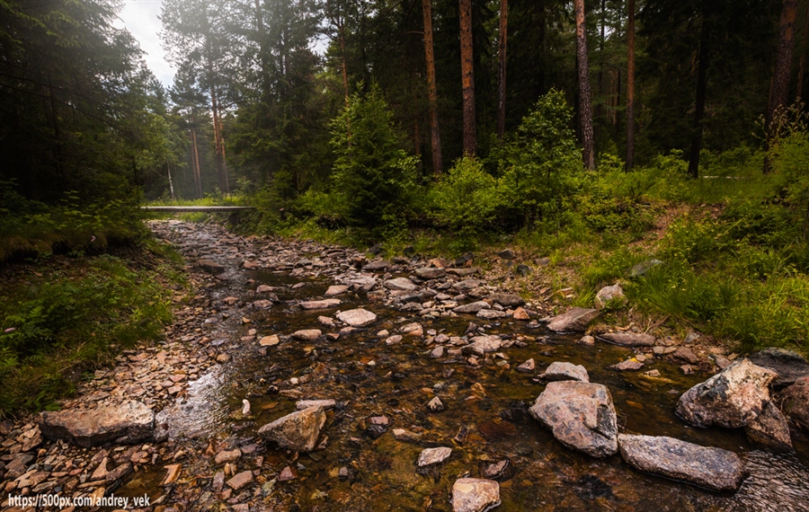 Фото жизнь