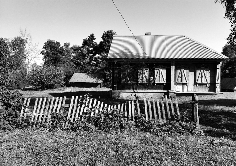 Фото жизнь
