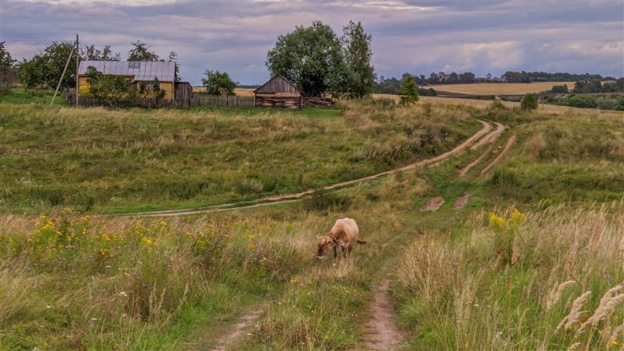 Фото жизнь