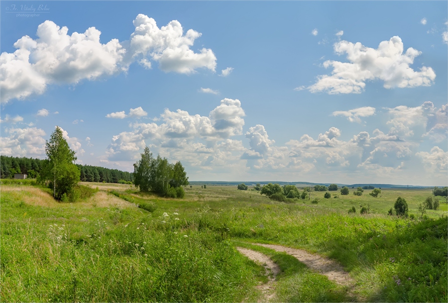 Фото жизнь