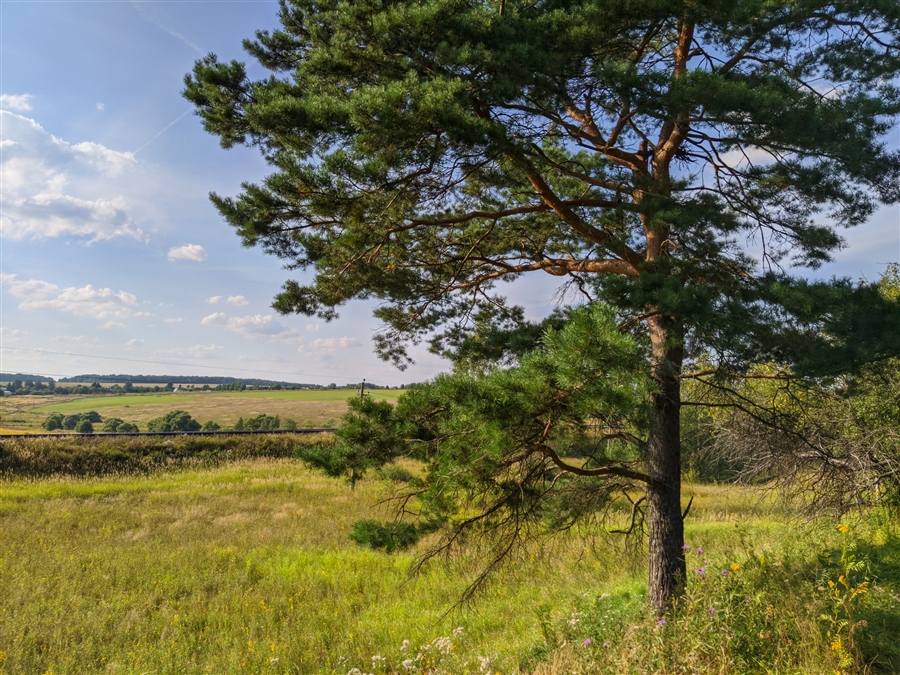 Фото жизнь