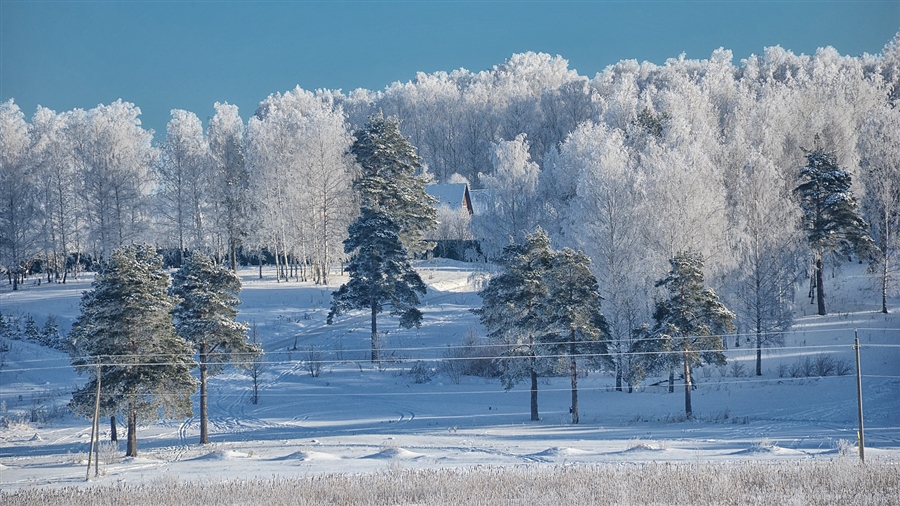 Фото жизнь