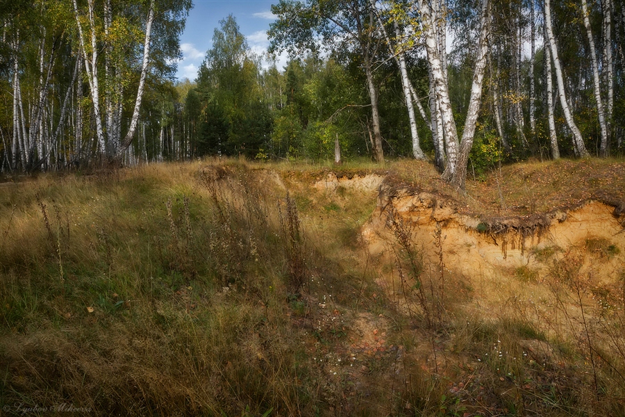 Фото жизнь