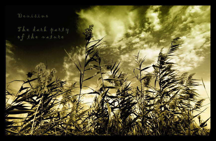Фото жизнь (light) - spider238 - Creative & Abstrakt - The dark party of the nature
