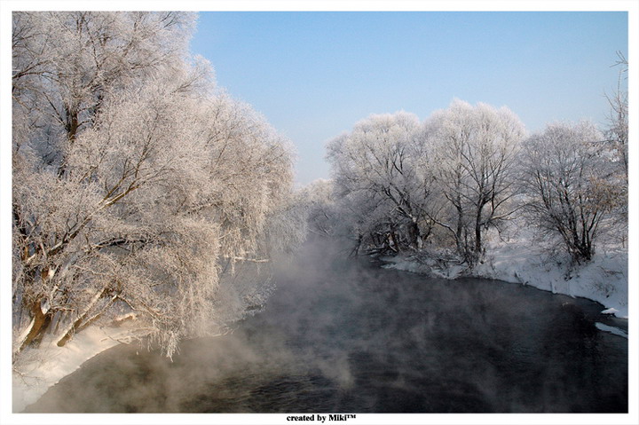 Фото жизнь (light) - MiKi™ - корневой каталог - ***