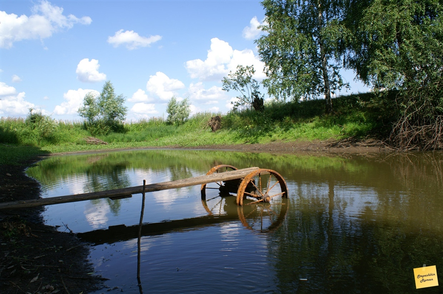 Фото жизнь