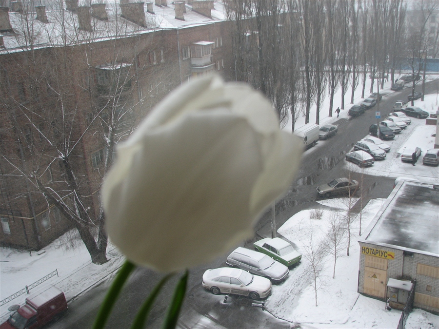 Фото жизнь