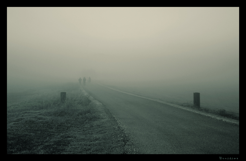 Фото жизнь (light) - spider238 - Landscape - Leaving in the mornings  