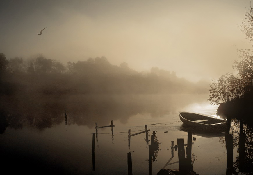 Фото жизнь - Liyan - корневой каталог - утро туманное