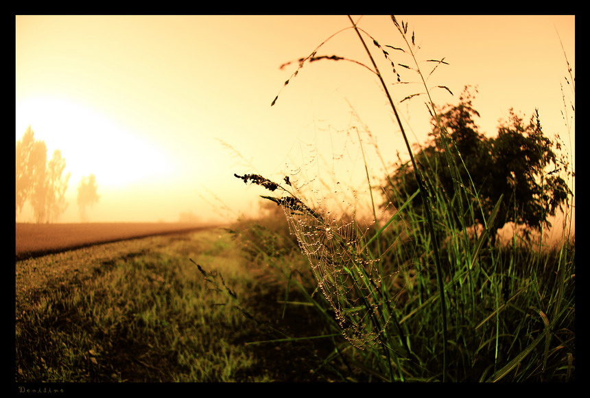 Фото жизнь (light) - spider238 - Landscape - Solar road