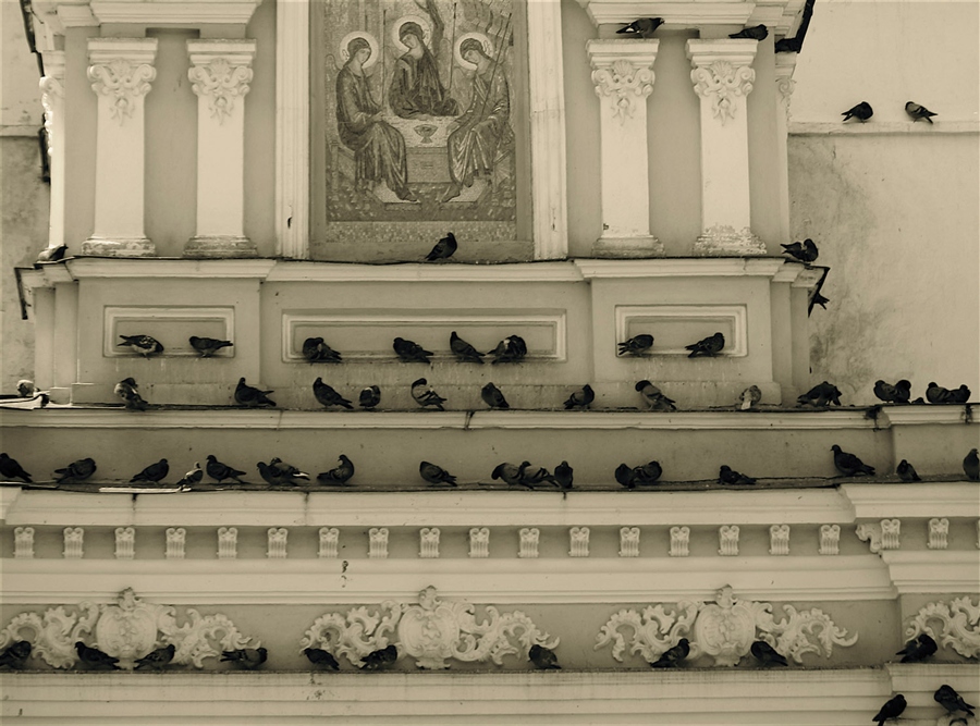 Фото жизнь