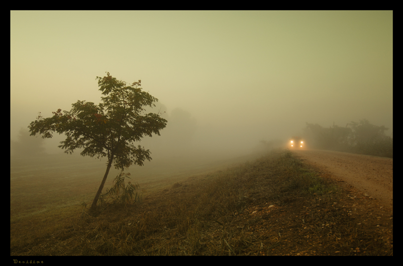 Фото жизнь (light) - spider238 - Landscape - Road to a way through a dense fog