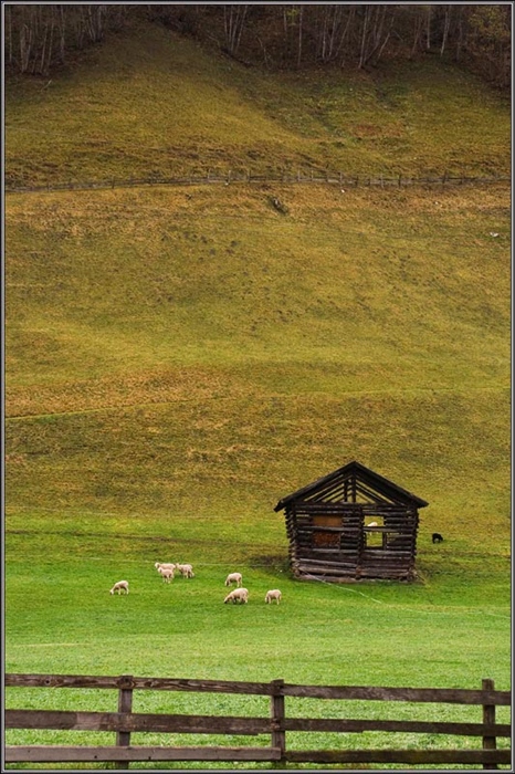 Паства