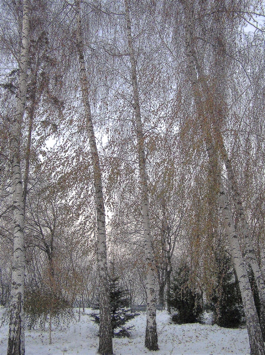 Фото жизнь