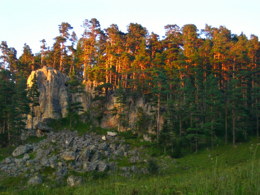 Фото жизнь