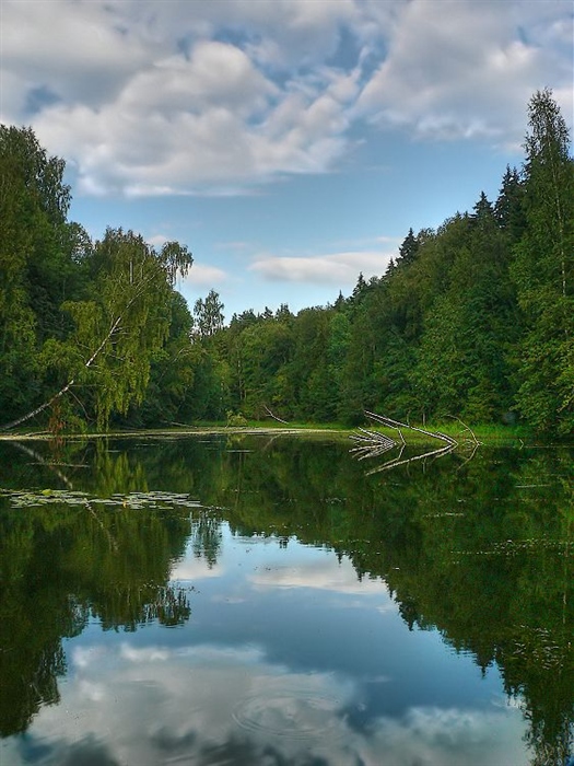 Фото жизнь