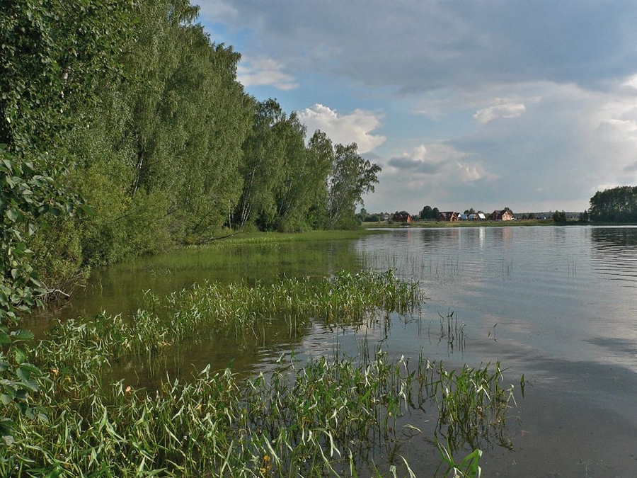 Фото жизнь