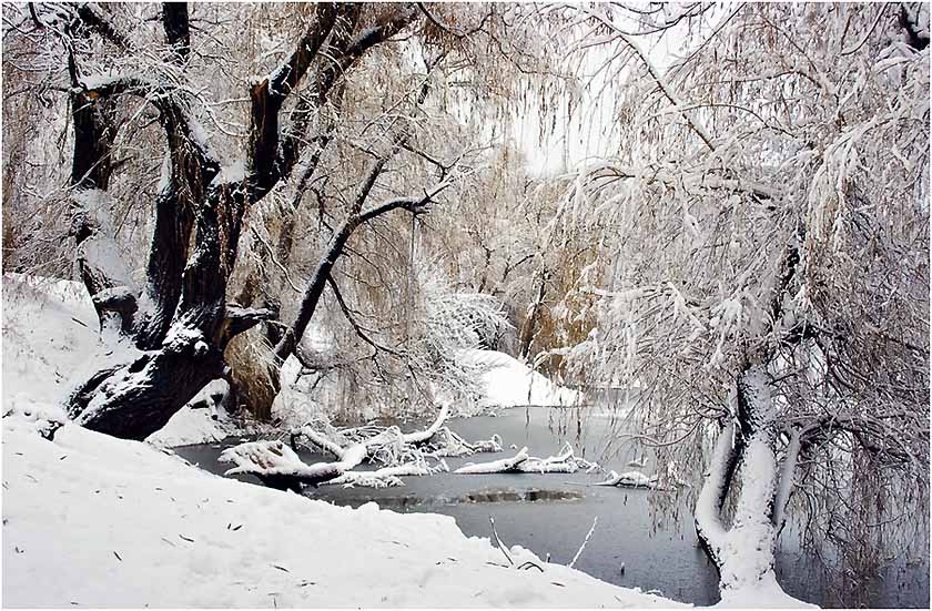 Фото жизнь (light) - Александр Батурский - Зимушка зима - Зимняя осень