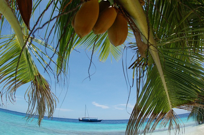 Фото жизнь (light) - Anatoly Kincharov - корневой каталог - Красиво!