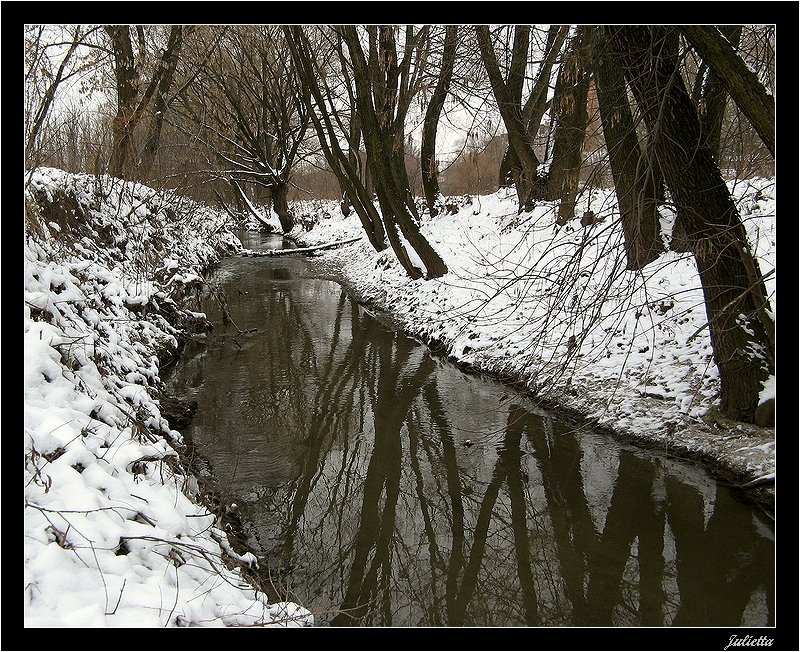 Фото жизнь (light) - Julietta (Муха Юлия) - Пейзажи, природа - отражения хмурого зимнего дня