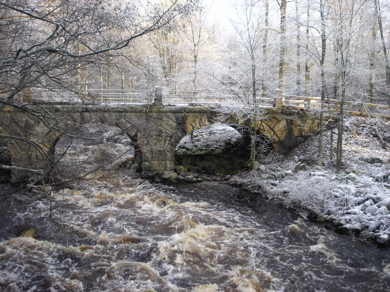 Фото жизнь (light) - markaf - Nature..natura..Natur..naturaleza.. природа, короч - The bridge