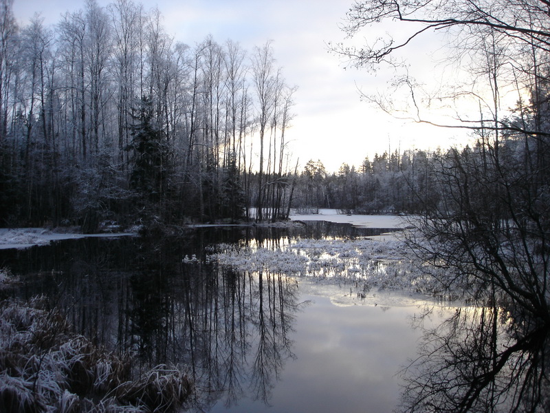 Фото жизнь (light) - markaf - Nature..natura..Natur..naturaleza.. природа, короч - The middle of nowhere