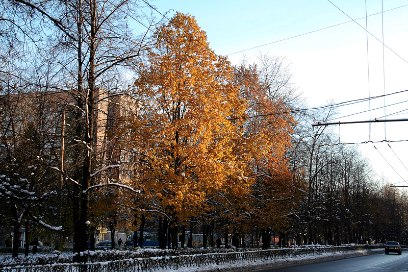 Фото жизнь (light) - lokfuhrer - Москва - По дороге на работу, или первый снег.
