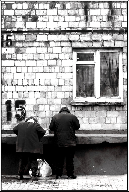 Фото жизнь (light) - tot - корневой каталог - 15