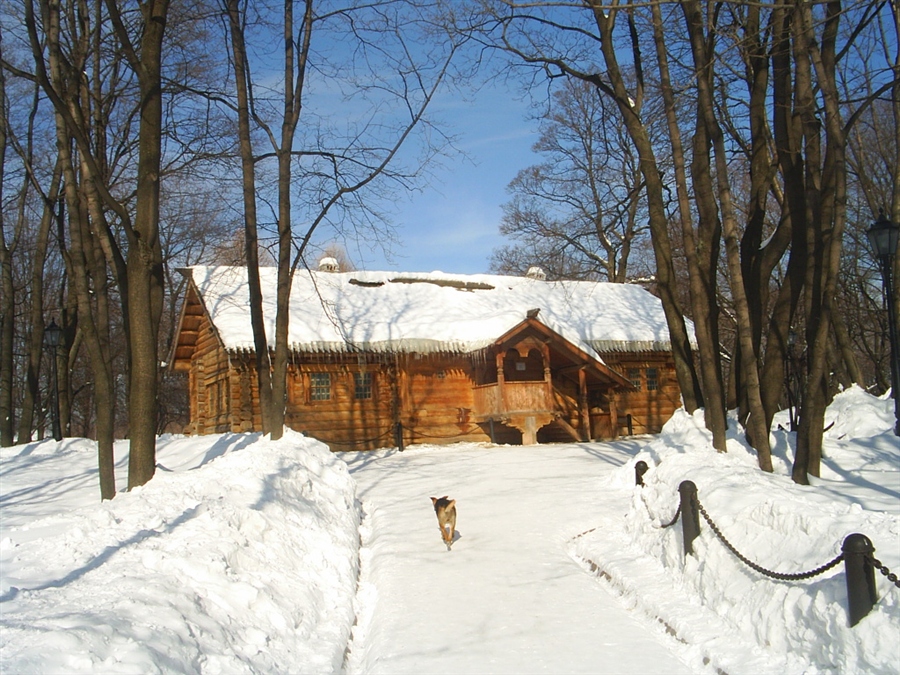 Фото жизнь