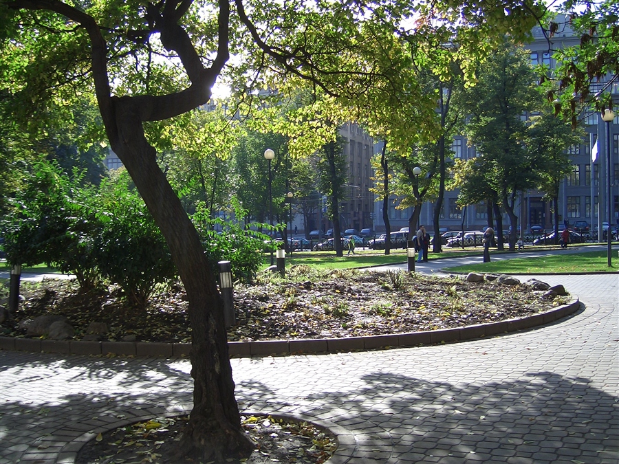 Фото жизнь