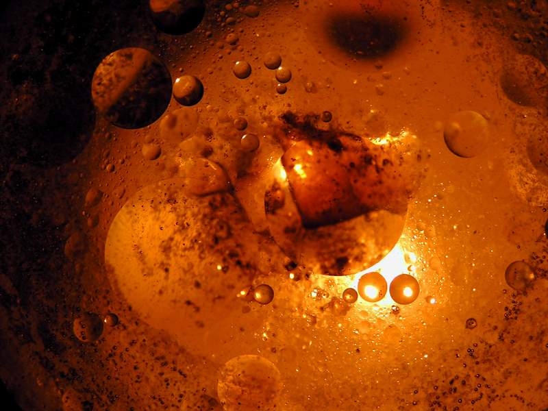 Фото жизнь (light) - Westonline - Макро - Один микрокосмос