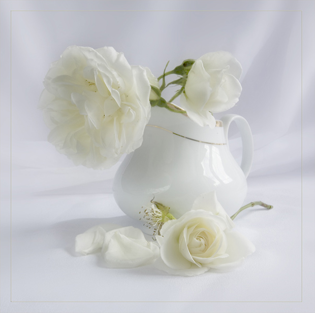 Фото жизнь (light) - Melonik - Flowers and Still life - Белые розы