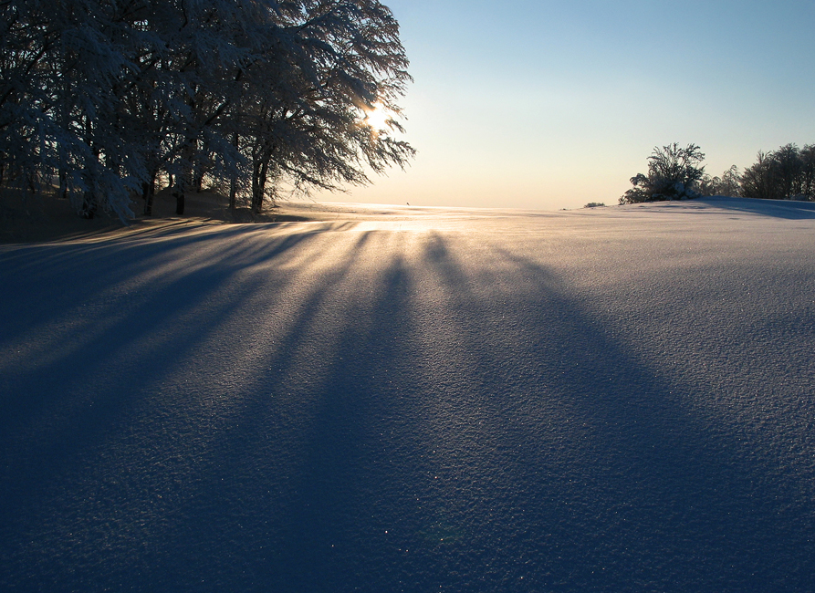 Фото жизнь (light) - Villy - корневой каталог - winter warmth