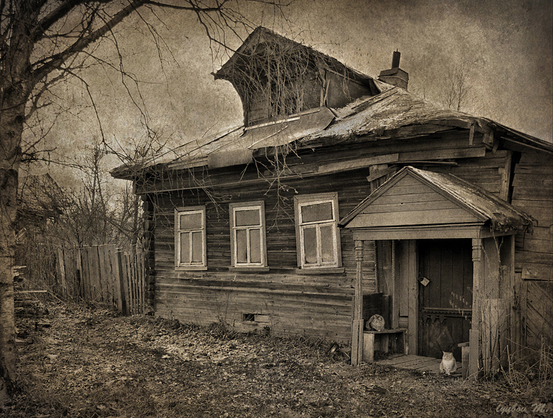 Фото жизнь