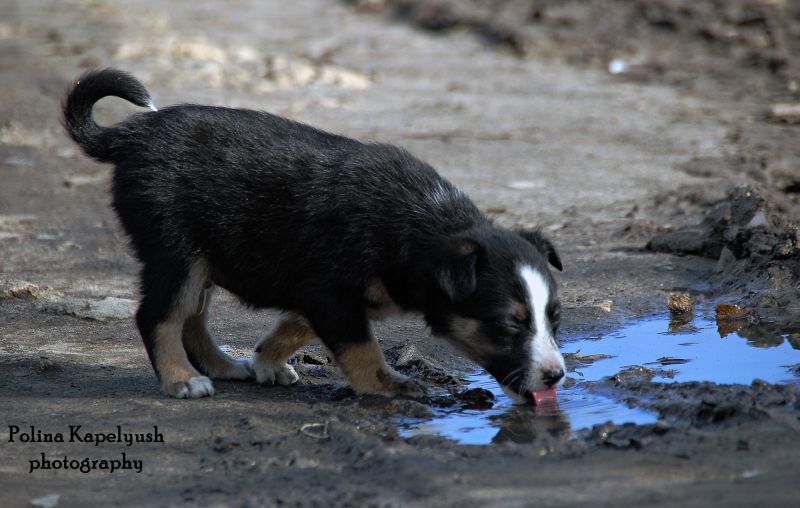 Фото жизнь (light) - Droppy - In the streets of our world - мы дети большого города.....