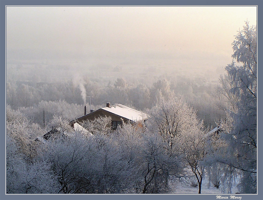 Фото жизнь