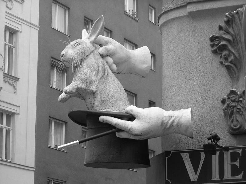 Фото жизнь (light) - Tonka - корневой каталог - Фокус!