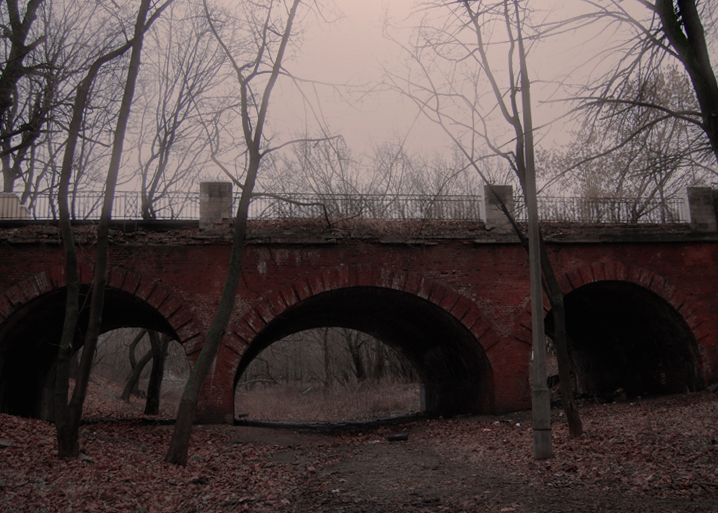 Фото жизнь (light) - vlad1334 - Осень  - "Мост в забытом парке " 