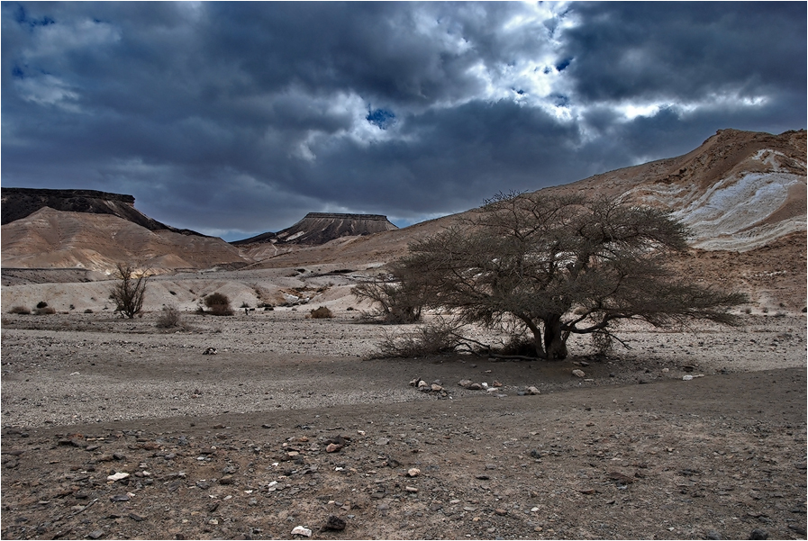 Фото жизнь (light) - kuchum13 - корневой каталог - Пустыня