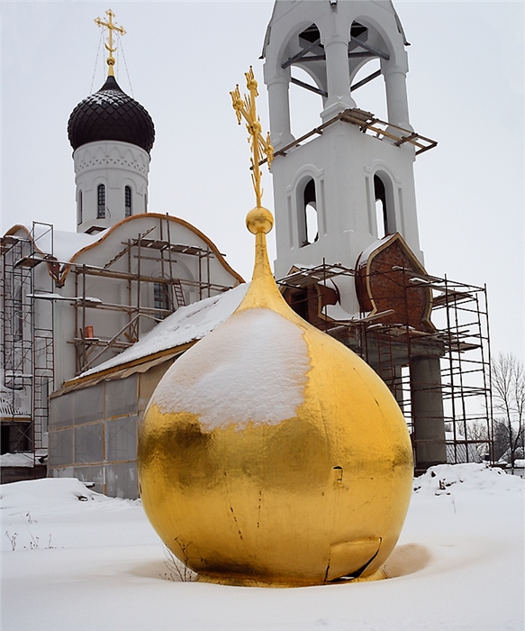 Фото жизнь