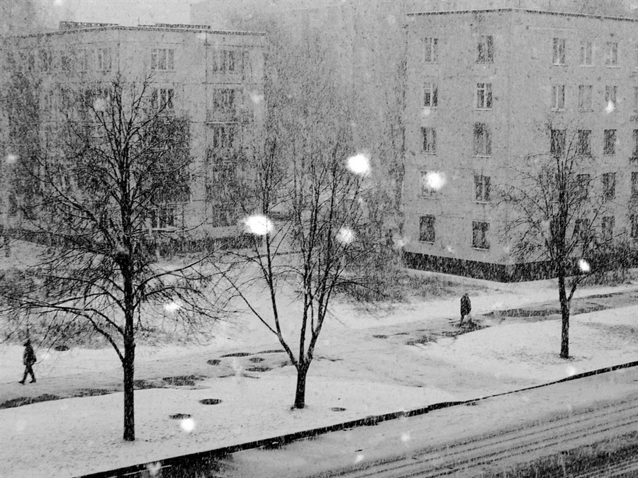 Фото жизнь