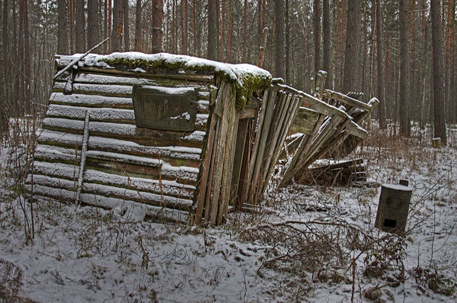 Фото жизнь