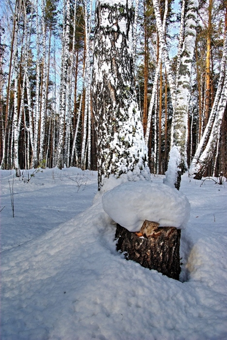 Фото жизнь