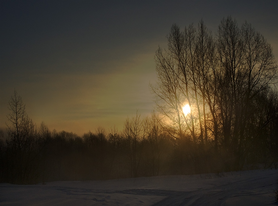 Фото жизнь