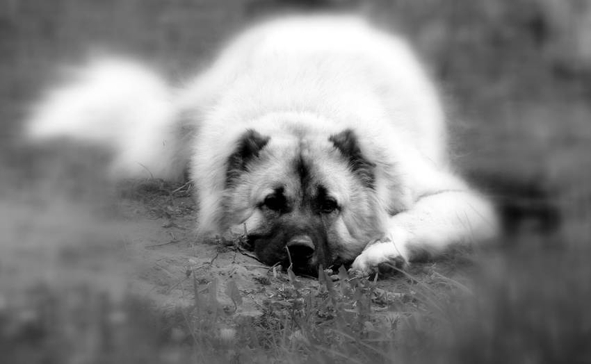 Фото жизнь (light) - Rostik - корневой каталог - ***