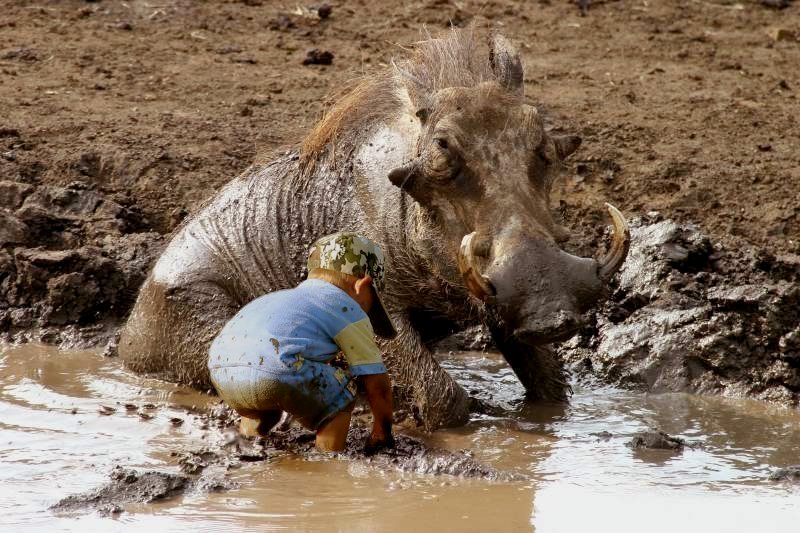 Фото жизнь (light) - Сергей Уланов - Дети и звери (коллажи) - Сейчас еще помажу...
